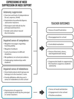 Suppression of Psychological Needs Among Beginning Teachers: A Self-Determination Theory Perspective on the Induction Process in Bedouin Schools